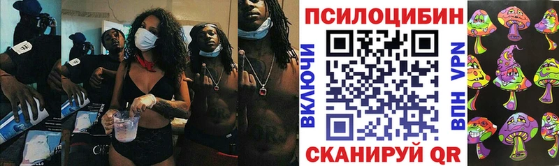 Купить  Троицк  Псилоцибиновые грибы Magic Shrooms 
